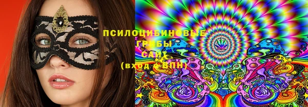 твердый Мегион