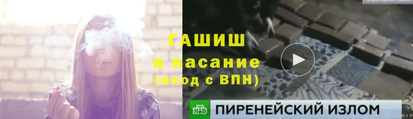 твердый Мегион