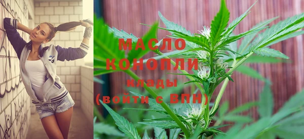 твердый Мегион