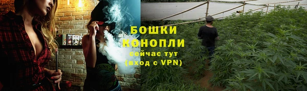 твердый Мегион