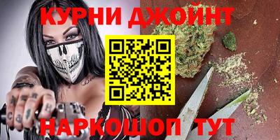 мдпв Гусев