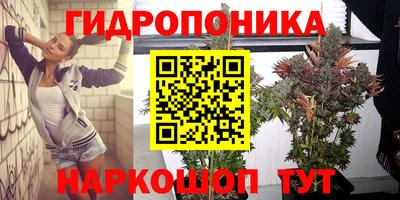 мяу мяу кристалл Гусь-Хрустальный